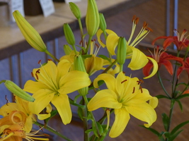 Foto: Dr. Peter Müller